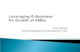 Leverage ebiz for growth of MSMEs