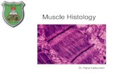 Doctor 2017 - JU Medicine - Muscle Histology Types of Muscle Tissue Skeletal â€¢Attach to and move skeleton