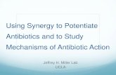 Using Synergy to Potentiate Antibiotics and to Study ... Synergy between bactericidal drugs can result