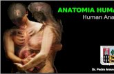General Principles Human Anatomy