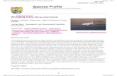 NRC-103 - FWS. 'Species Profile, Whooping Crane (Grus Americana)'. 2014. 7. 10.آ  black or grayish alula