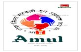 Amul Project Final