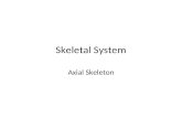 Skeletal System Axial Skeleton. The Axial Skeleton Eighty bones segregated into three regions â€“ Skull â€“ Vertebral column â€“ Bony thorax