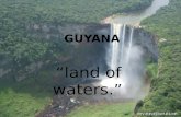 Guyana by Wilman