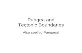 Pangea and Tectonic Boundaries Also spelled Pangaea!