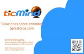 Partner Salesforce CRM Spain - Madrid. Consultoria Salesforce CRM y Force com
