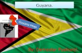 Guyana Winter Celebration
