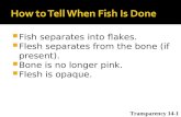ï‚ Fish separates into flakes. ï‚ Flesh separates from the bone (if present). ï‚ Bone is no longer pink. ï‚ Flesh is opaque. Transparency 14-1