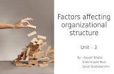 Factors Affecting Organisational Structure