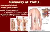 1 Summery of Part 1 ïƒ Anatomy of the back ïƒ What is good posture? ïƒ Causes of poor posture ïƒ Problems of common faulty posture ïƒ Objectives of Ergonomics